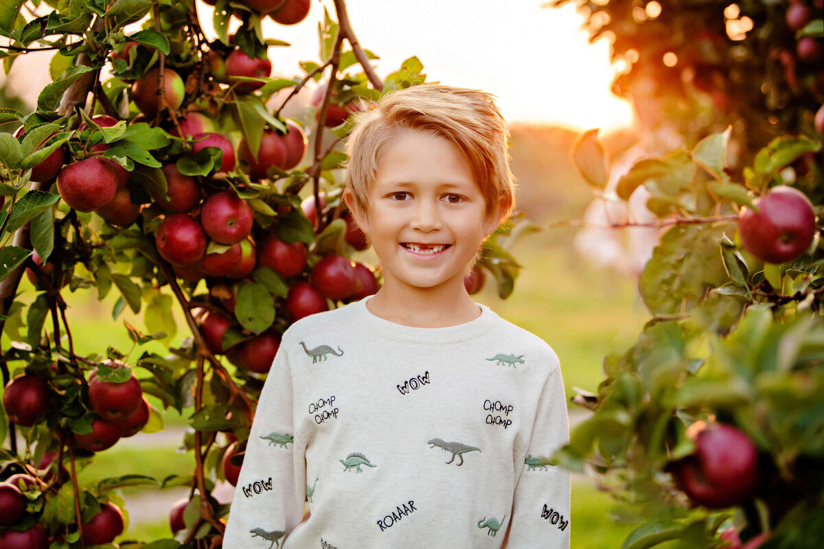 young boy standing near an apple tree with the golden light coming behind him for his apple orchard fall family photos in Burlington, ON