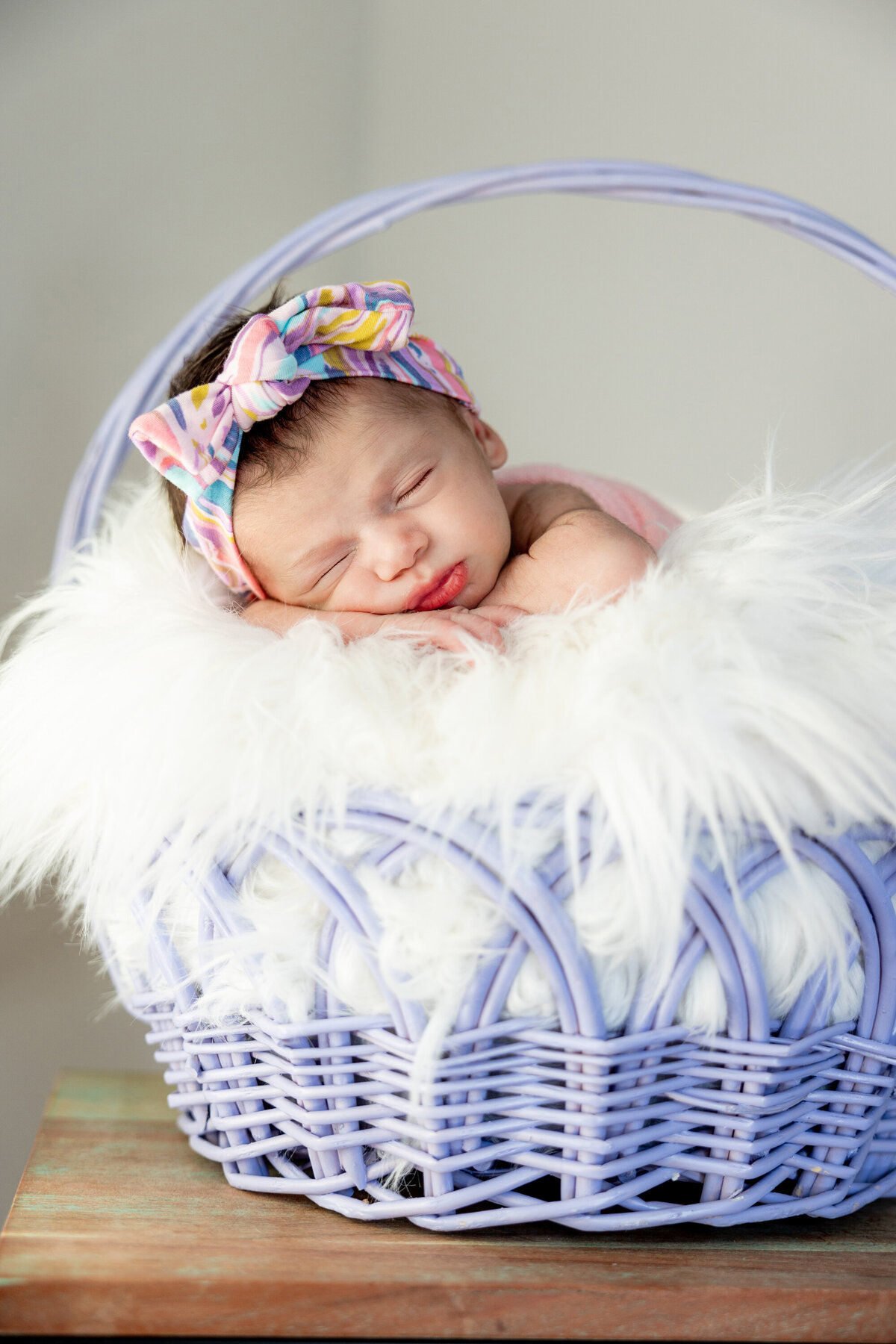 Neriphoto-holland-mi-family-pictures-110
