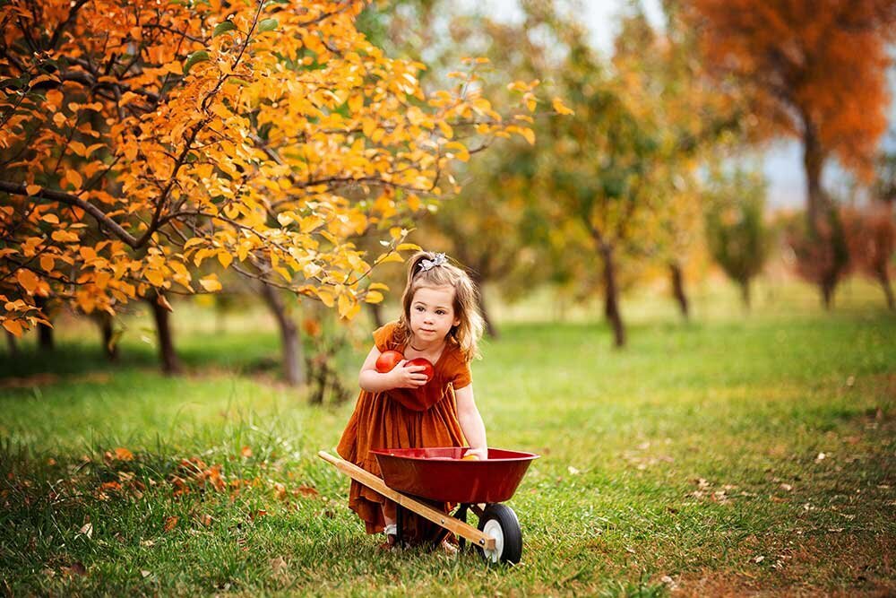 apple-orchard-ya-ya-wheel-barrow-kids-painterly-portrait-fall-leaves-childhood-heirloom-nostaglic