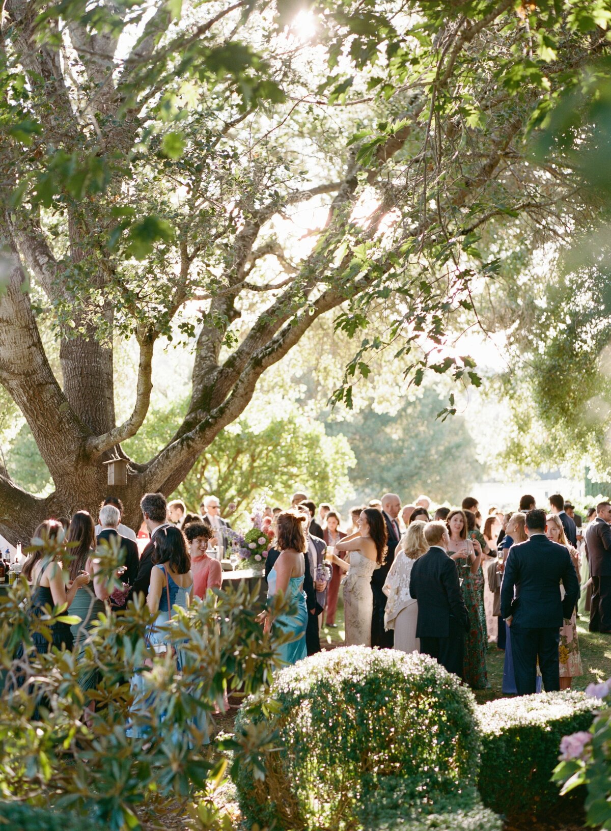 Sarah + Ainsley Filoli California Wedding Sneak Peeks Cassie Valente Photography 0050