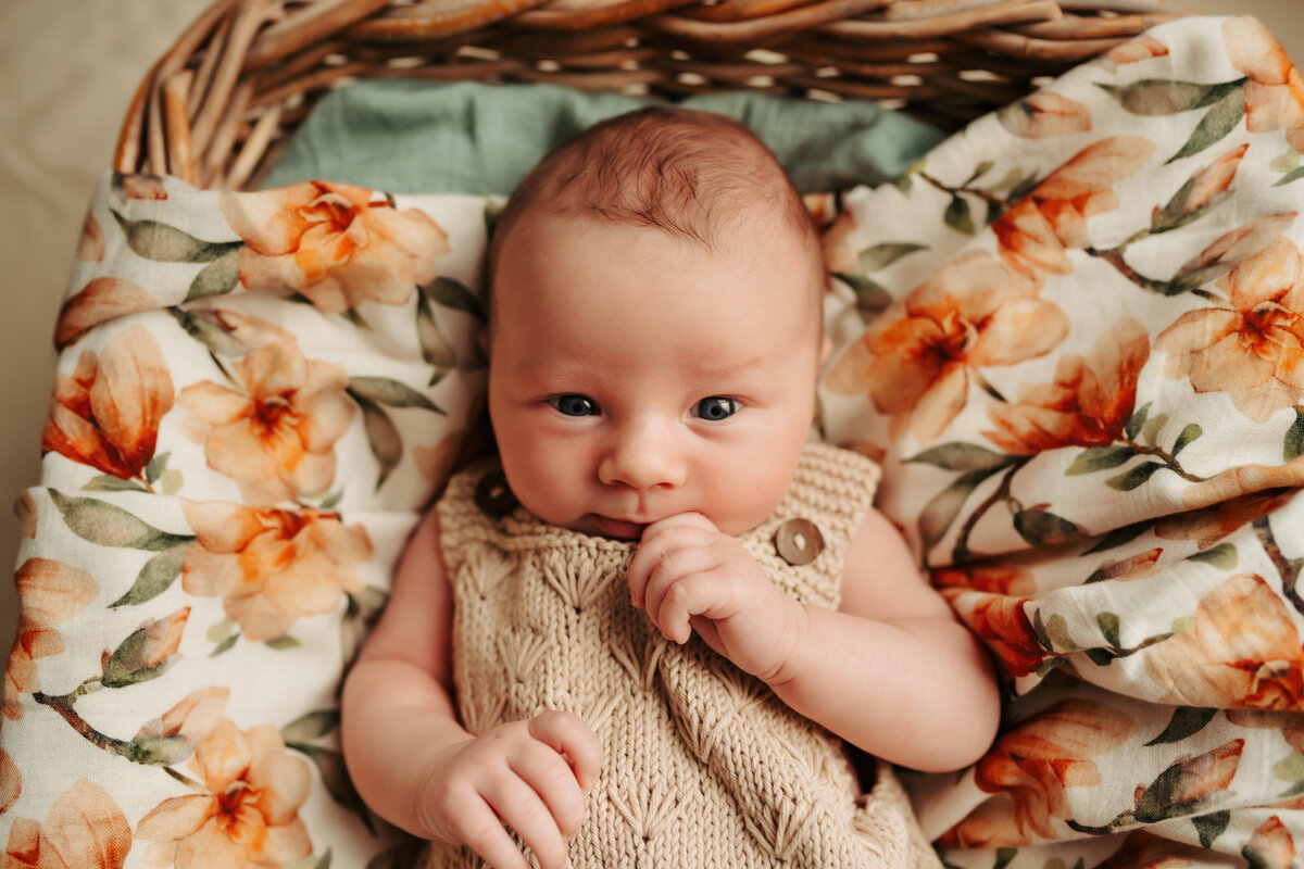 newborn-photos-perth (7)