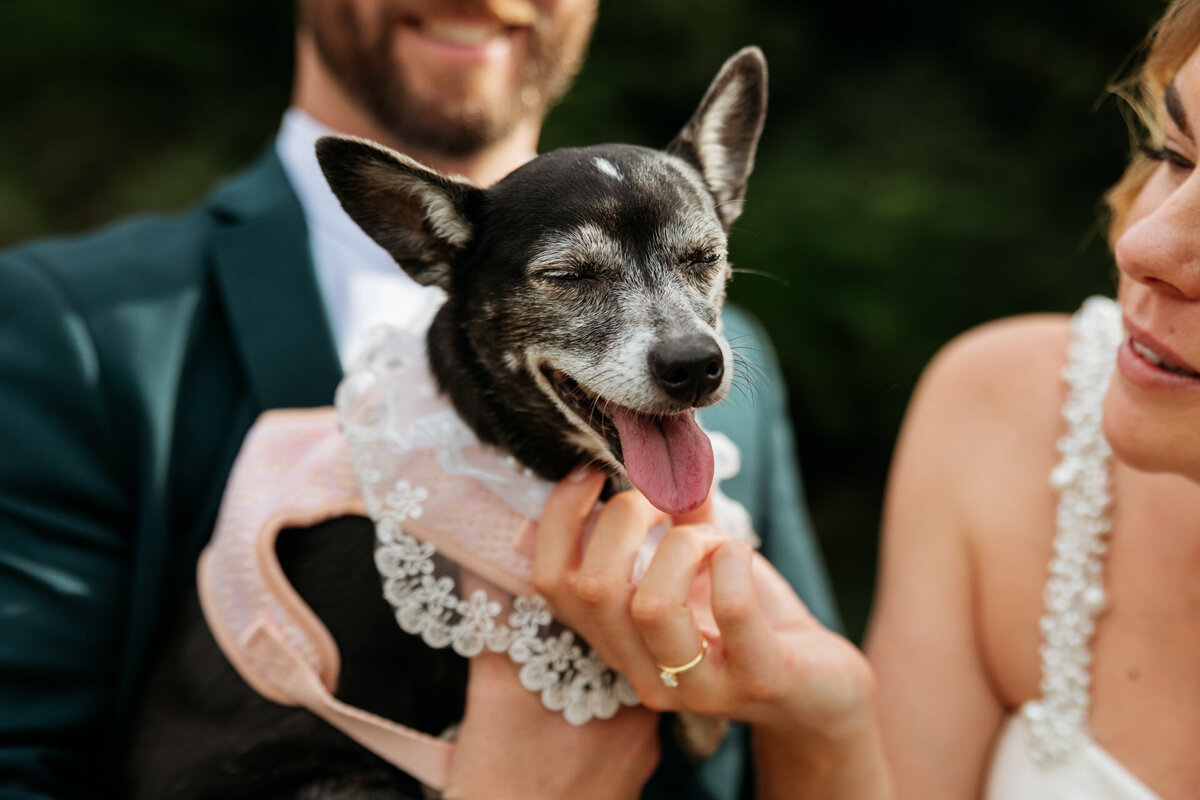 Ebony&Cameron-JBCreative-361