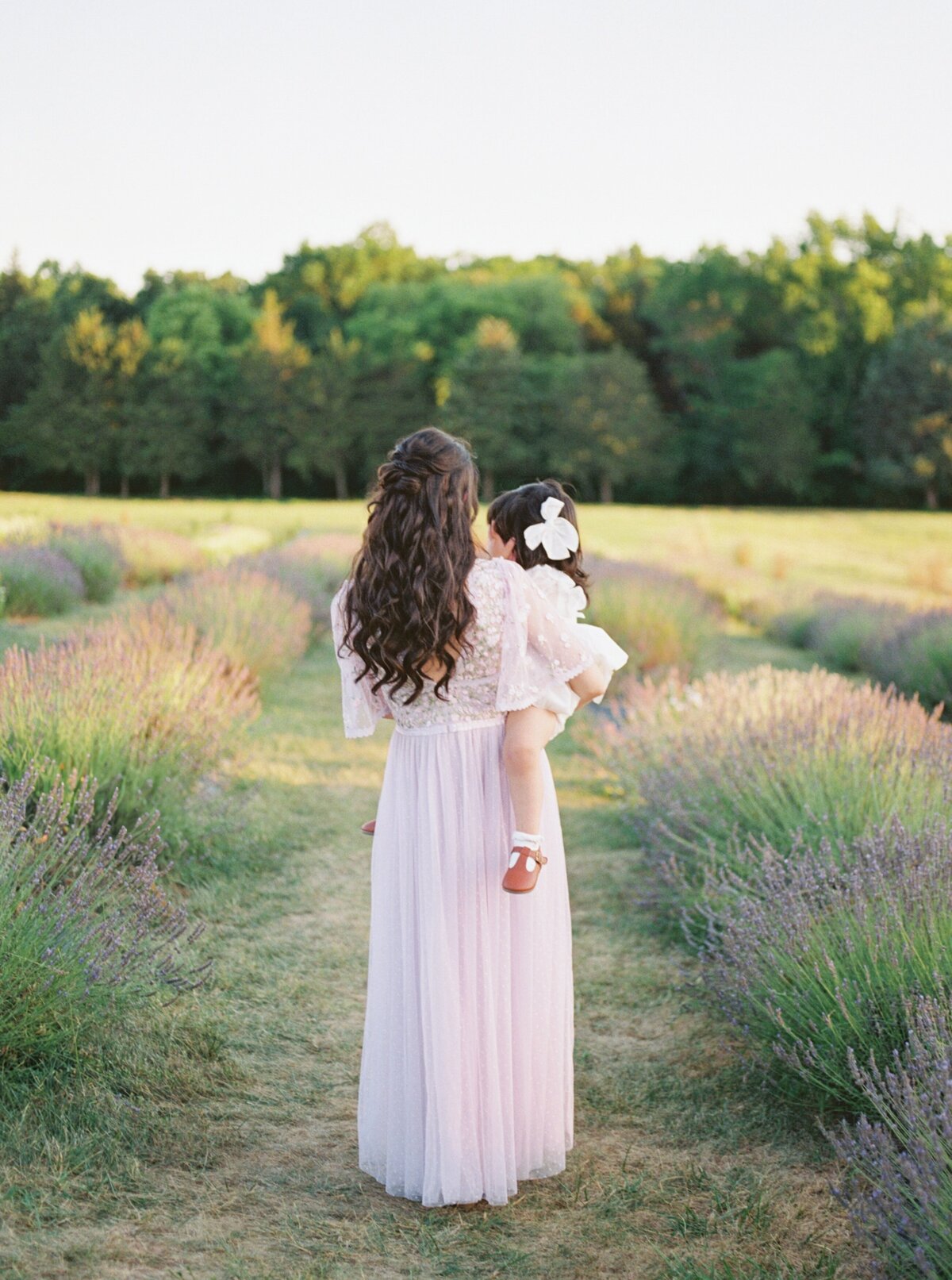 lavender field family photographer