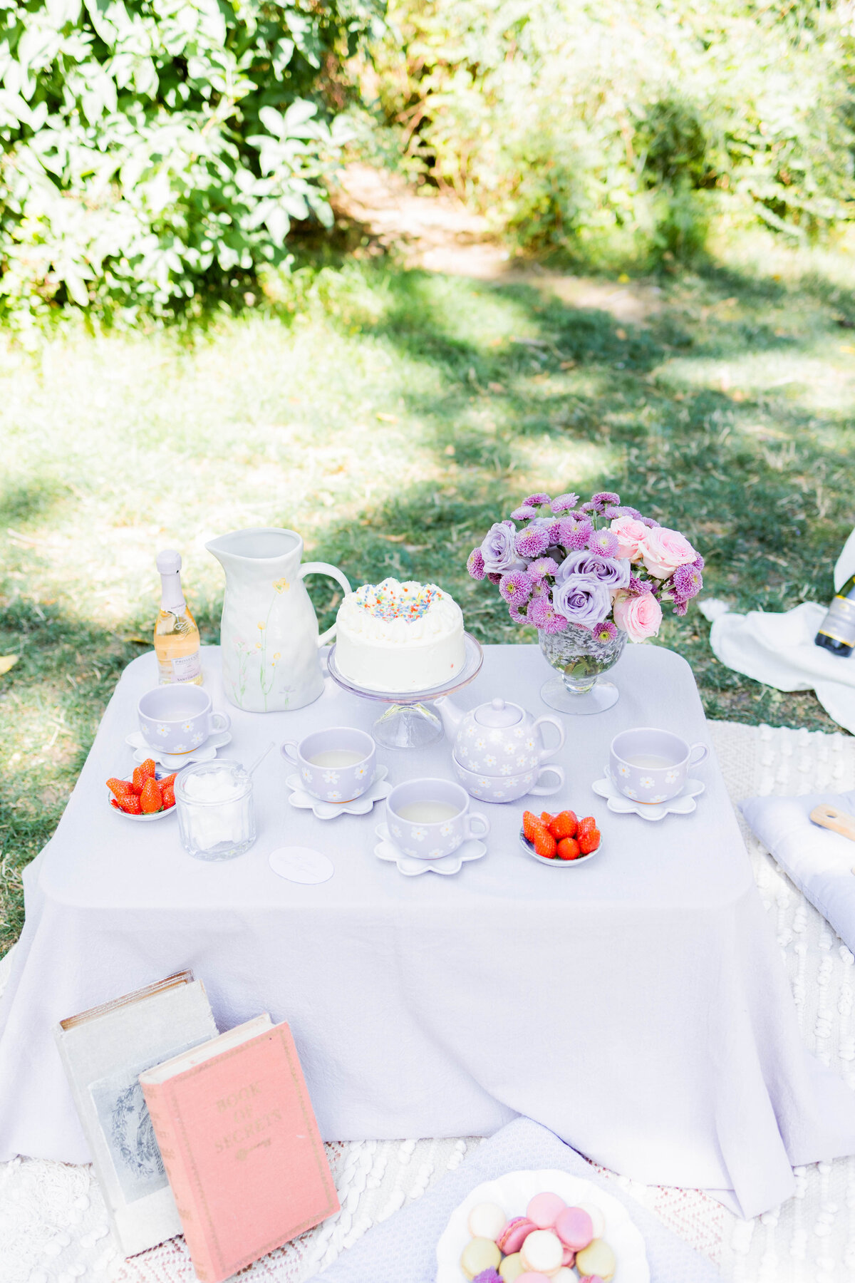 picnictsb-24