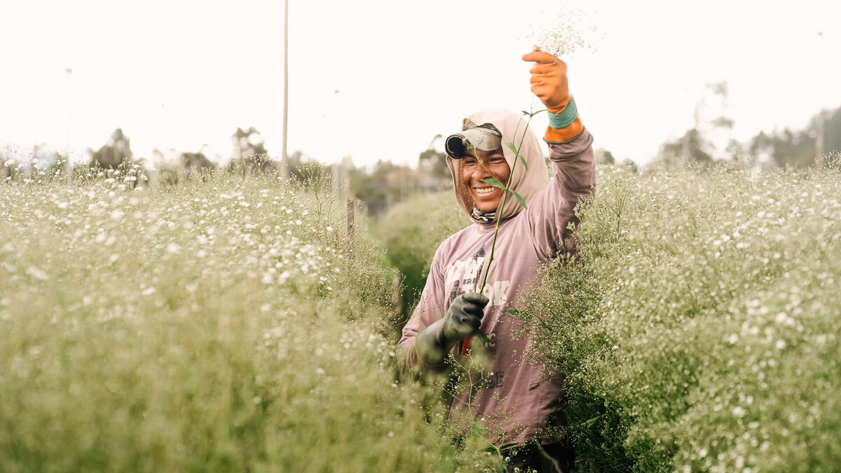 Farm-Exports-Lifestyle-45