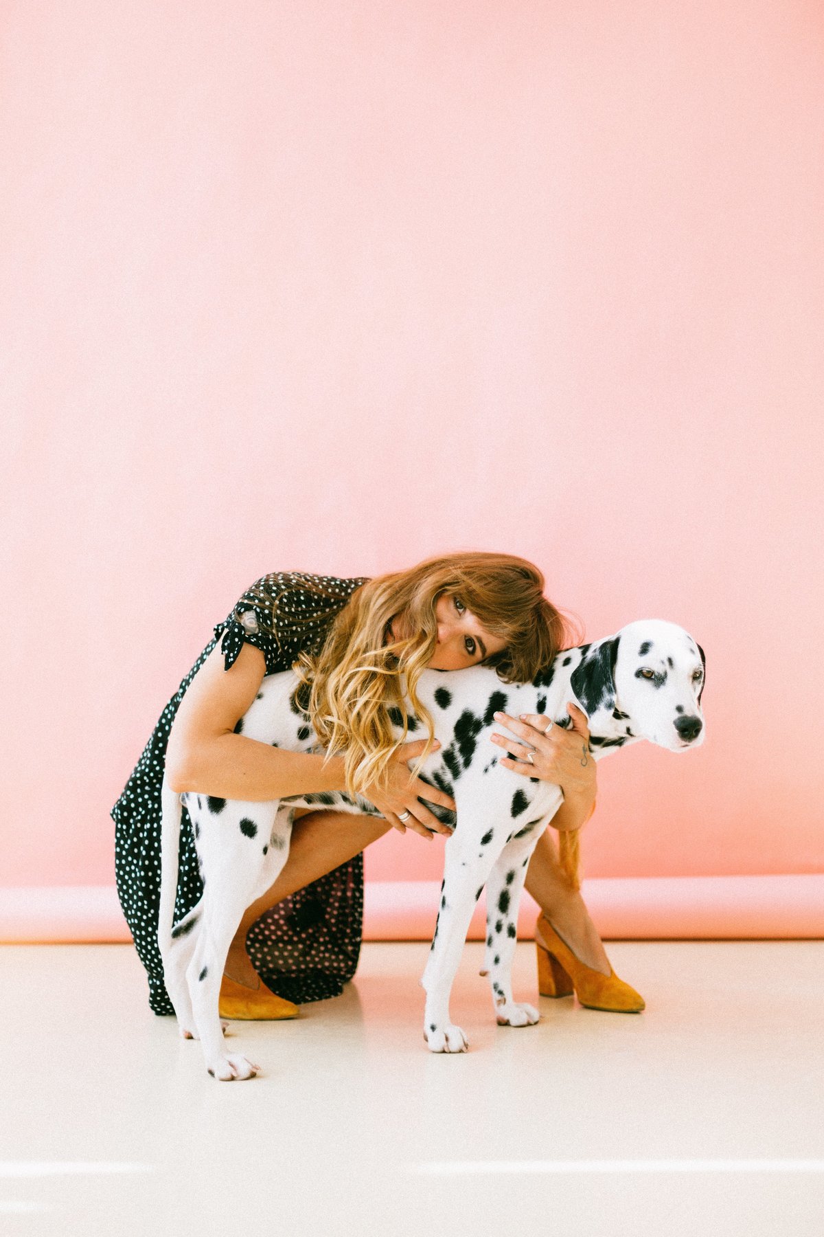 adorable-animal-beautiful-1766478