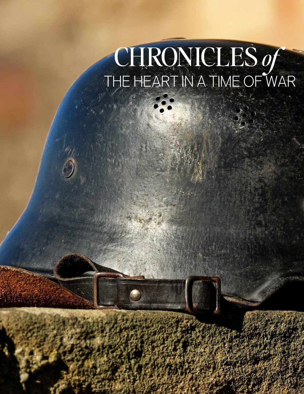 chronicles of the heart in a time of war