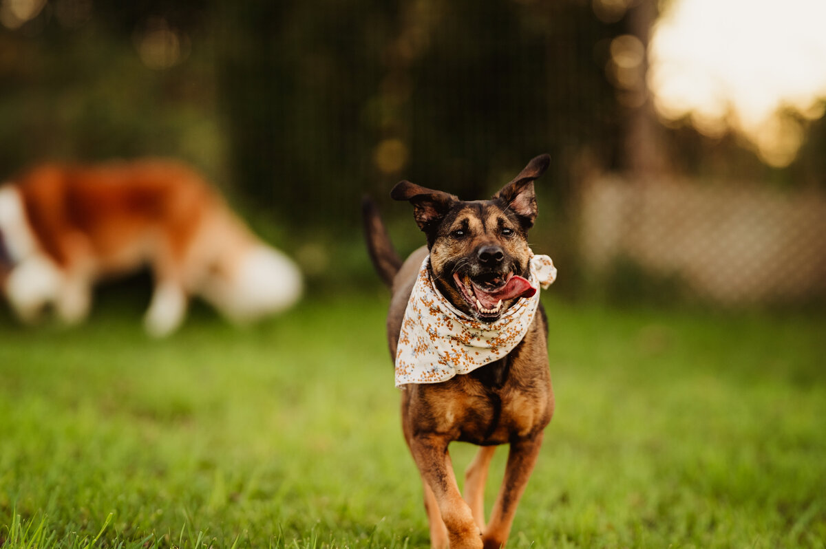 NicoleS_Fall2025_133