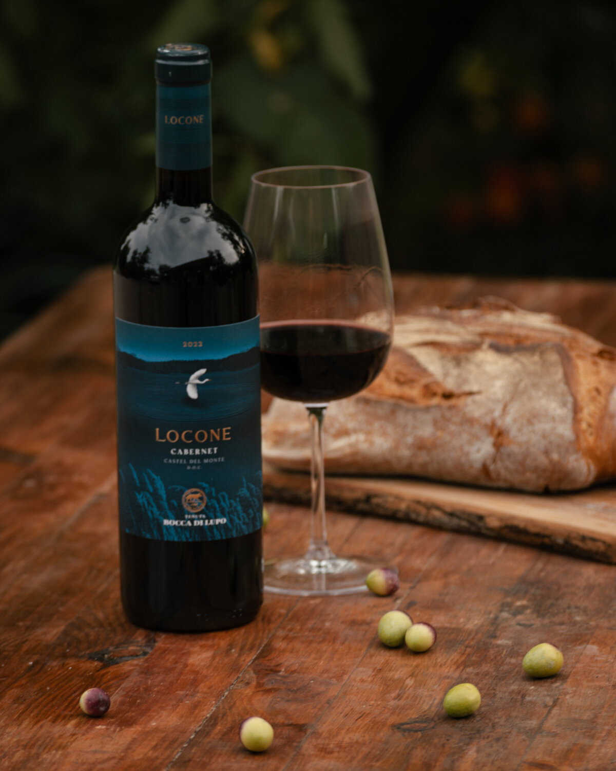 24Nov2025_BoccaDiLupo-80