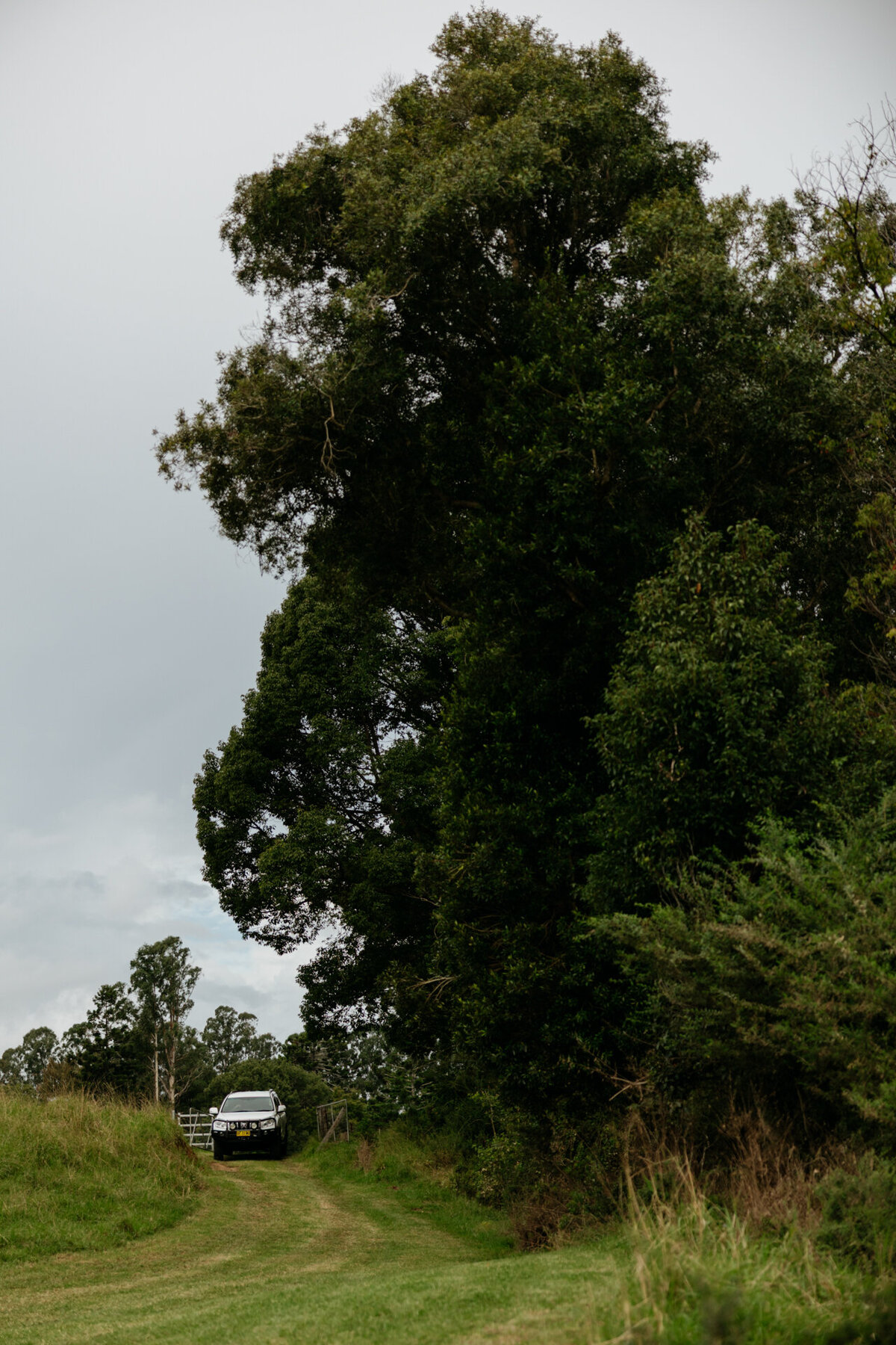 Ebony&Cameron-JBCreative-133