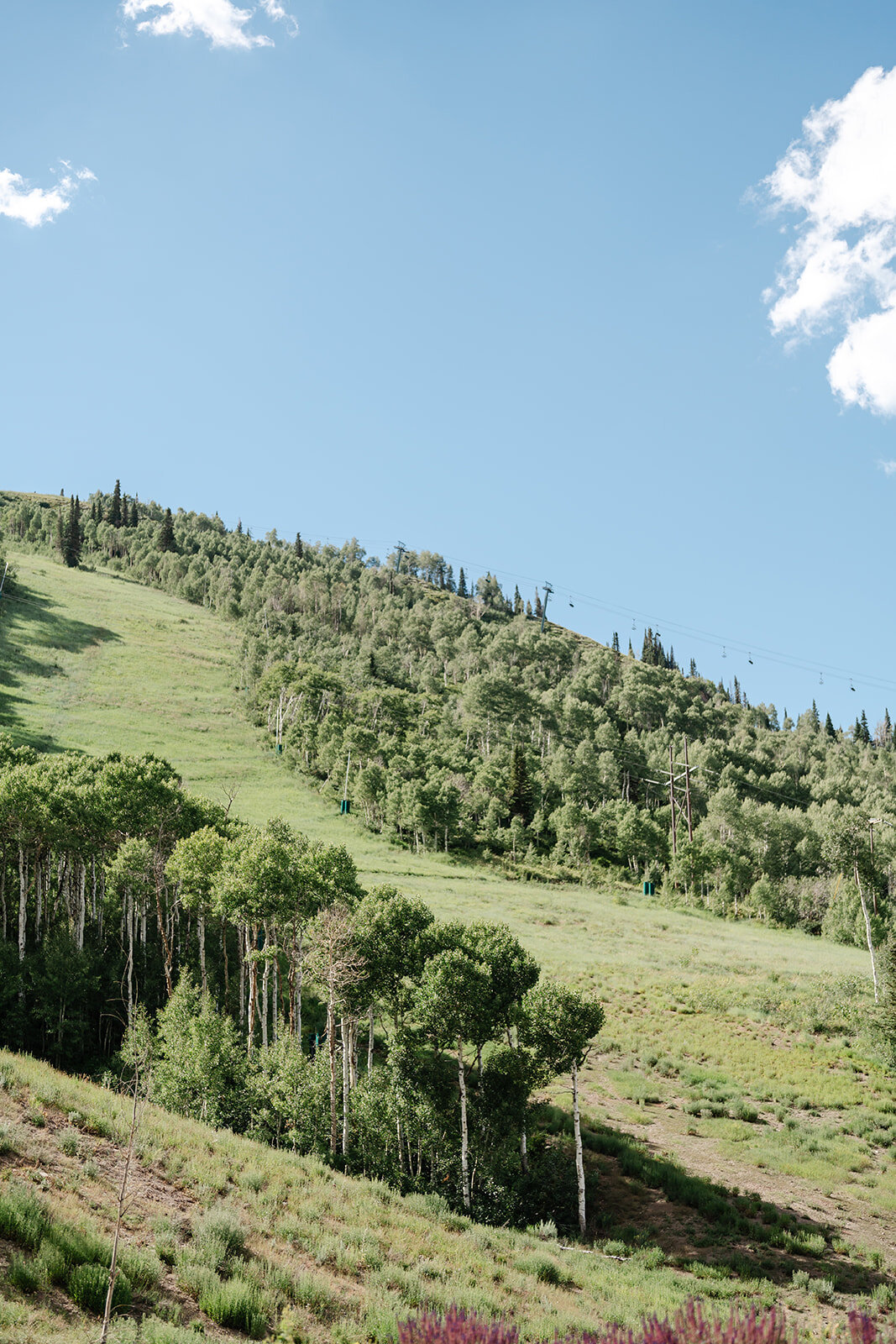 montage-deer-valley-summer-park-city-utah-wedding-logan-walker-425L-0883