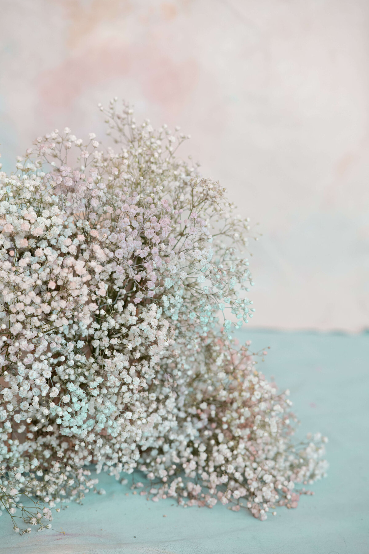 Detail of a baby's breath floral installation on a pastel background