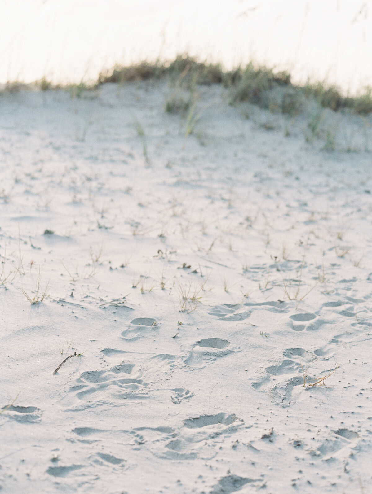 Seaglass_Social-Squares_Styled-Stock_01153