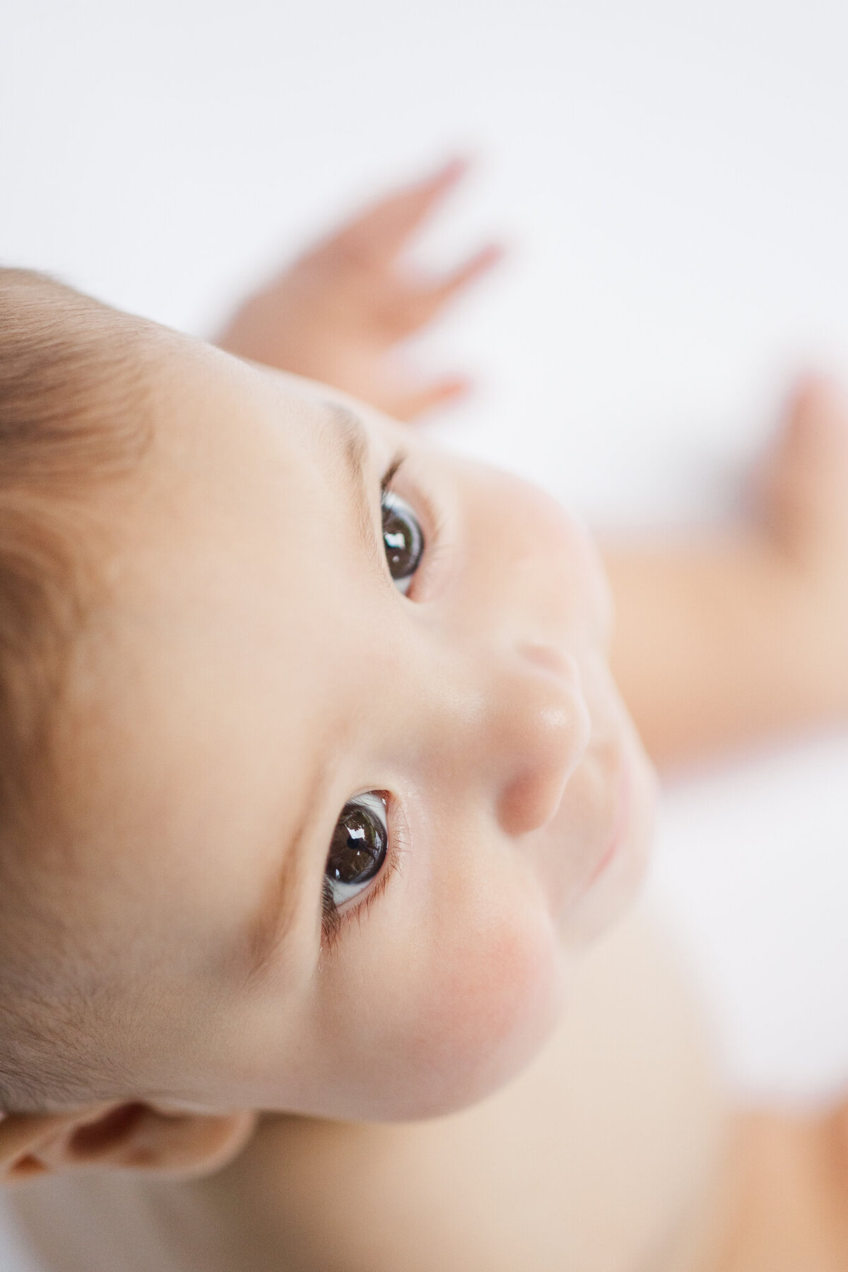 Morris- 6 Month Milestone- birmingham, Alabama- 5U Photogrpahy-5756