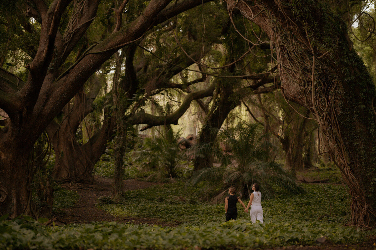 michigan hawaii elopement photographer