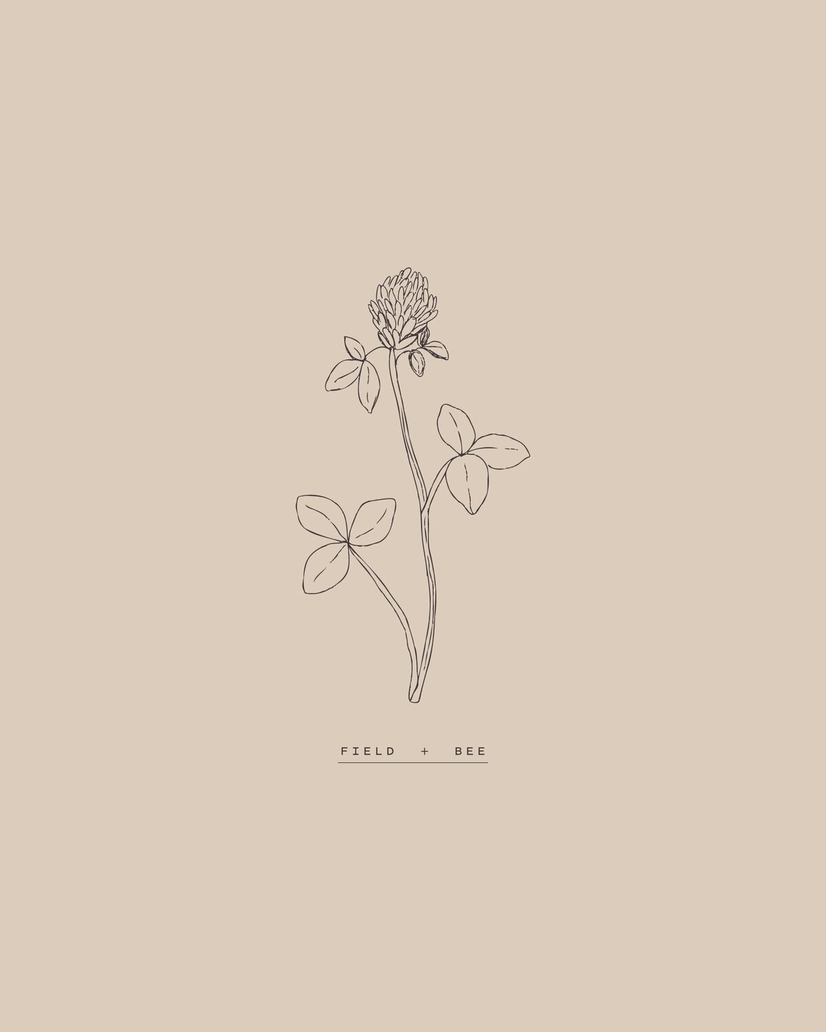 Field+Bee_LaunchGraphics_Instagram106