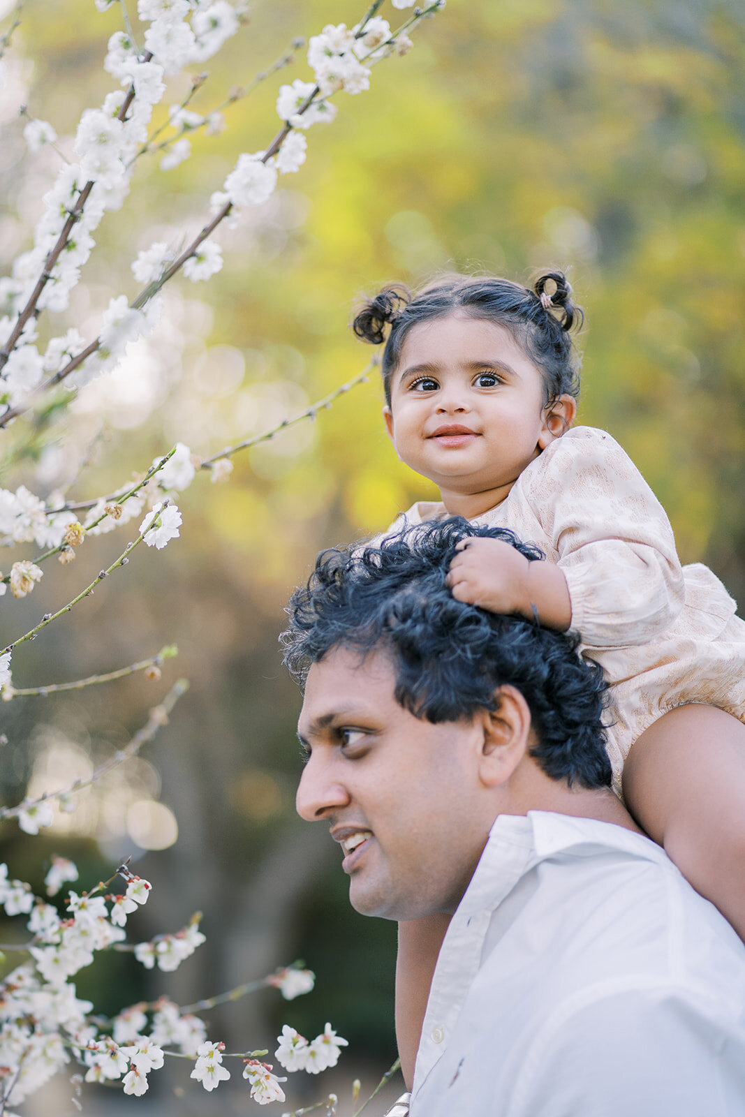 brisbane-family-photographer-photoshoot.jpg