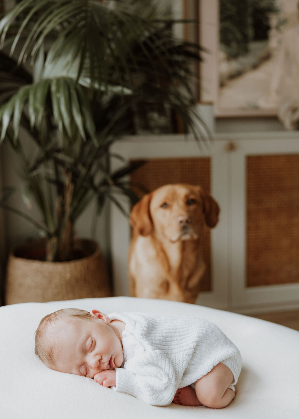 London-Surrey-In-Home-Newborn-Photographer-Hanna-Ali-61