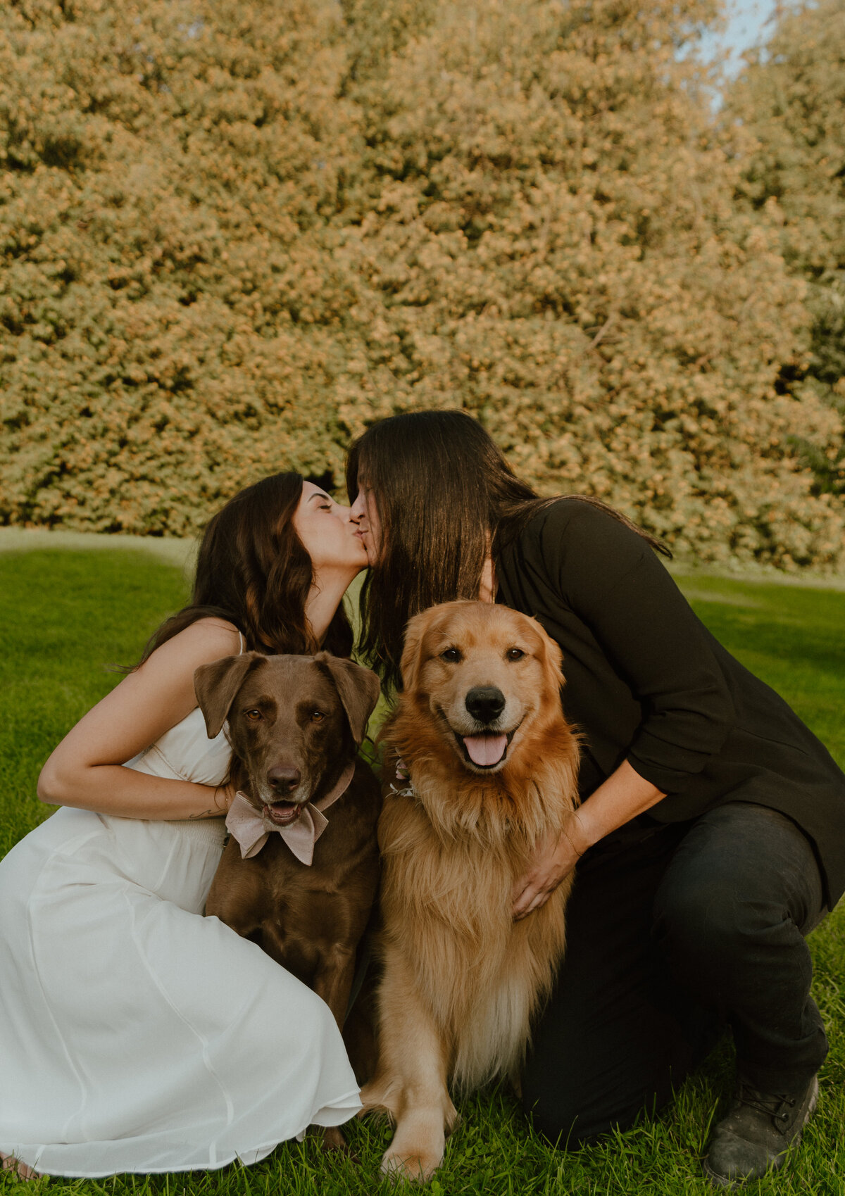 forest-engagement-275