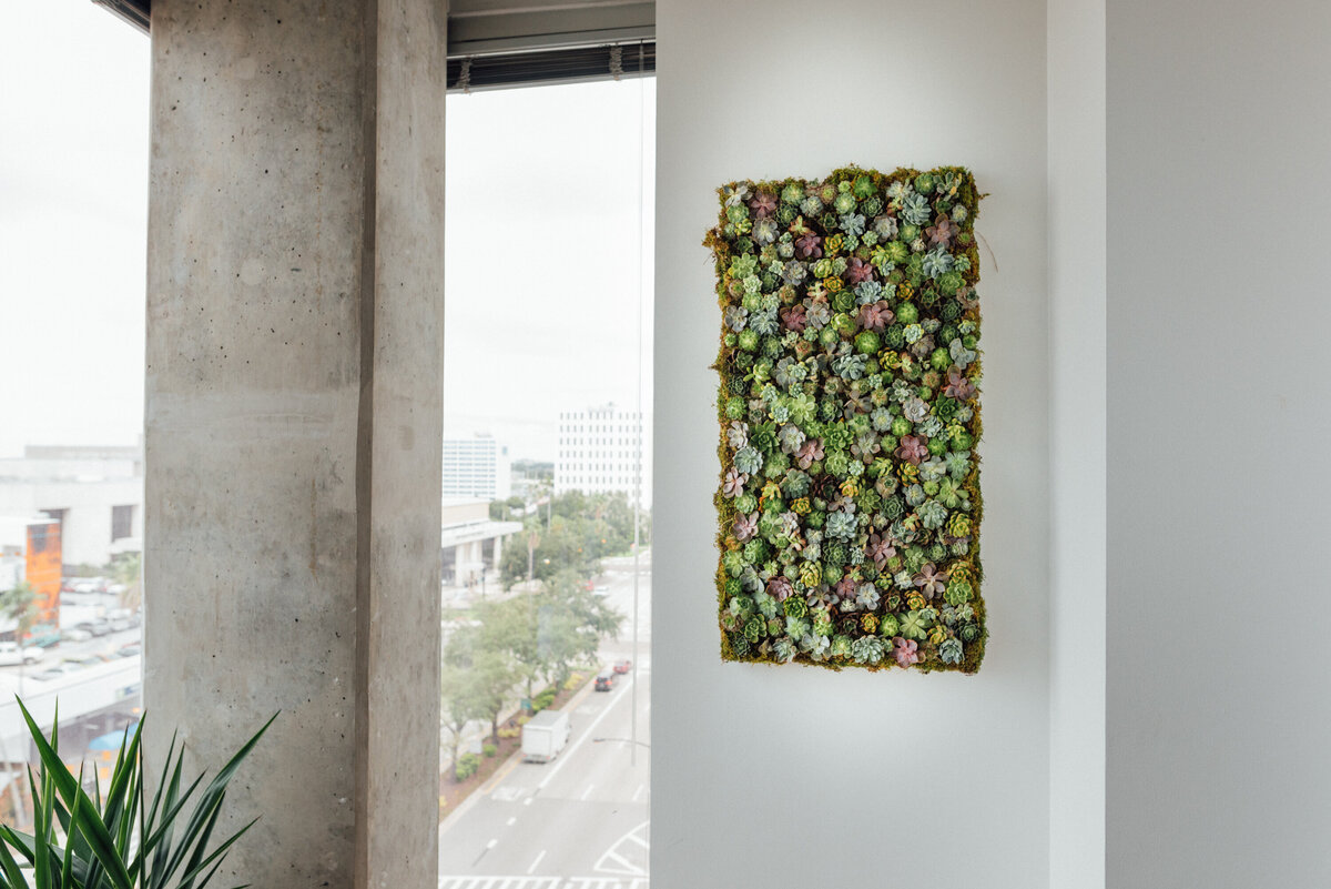 Succulent Wall-21