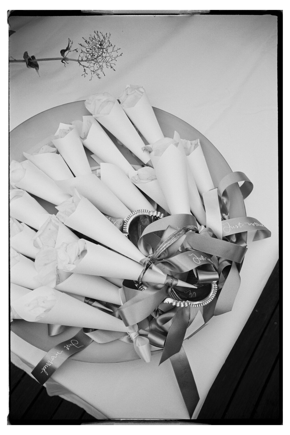 Maegan-Brown-Moments_231103_Wedding_Lauren-Bernie_Frolic-Lane_35mm-Film-Scans_0019-Copy1