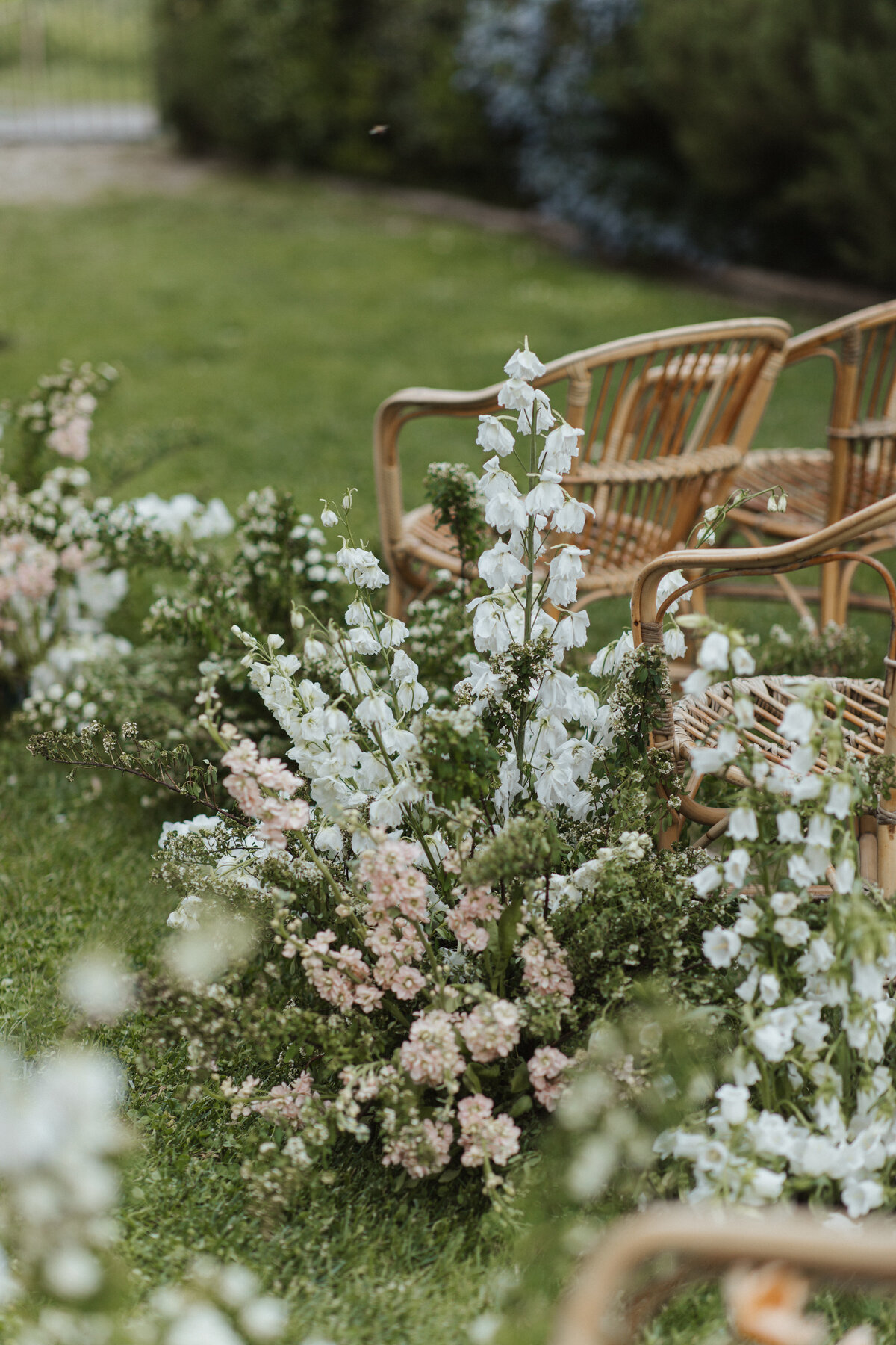 LizSchneiderPhoto-2889