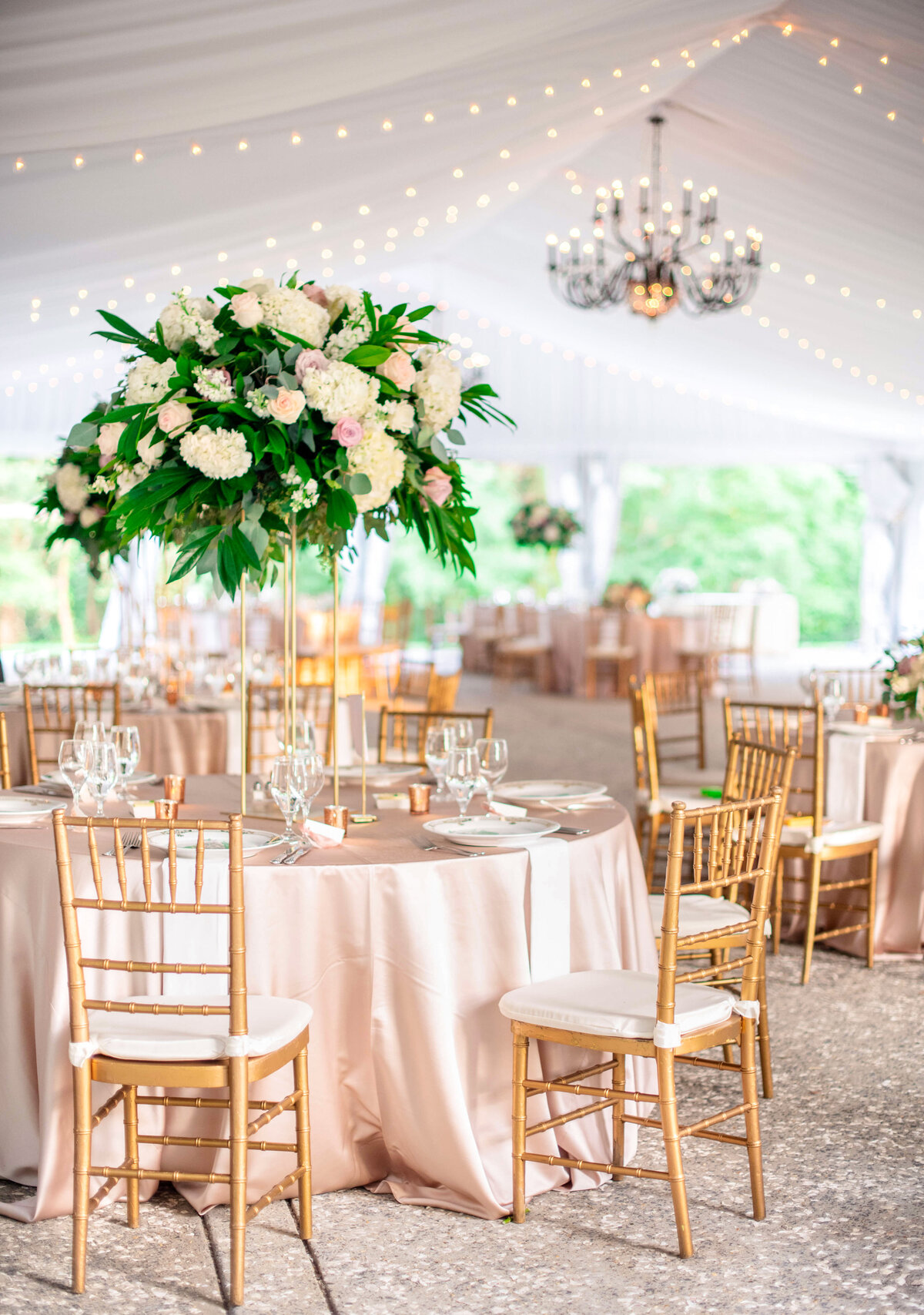 Elegant wedding reception hall with draped ceiling and string lights. Tables are adorned with white floral centerpieces and gold Chiavari chairs. A chandelier adds to the sophisticated ambiance.