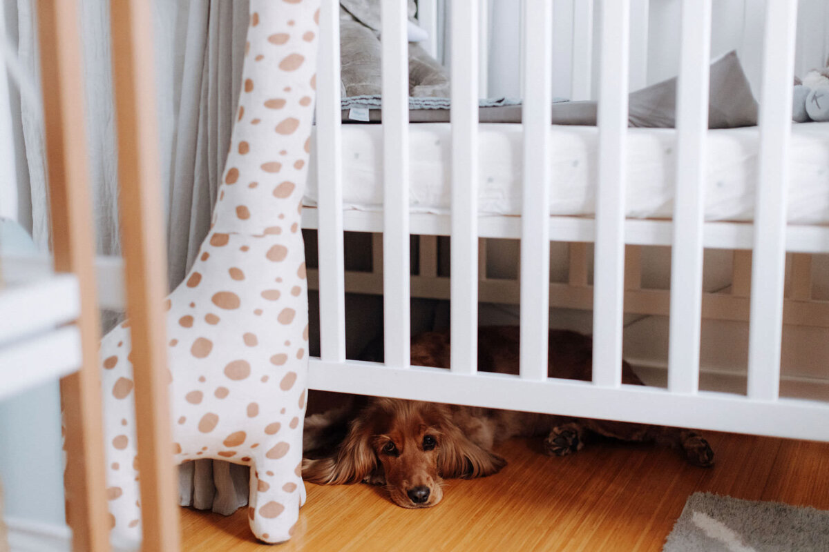 Jan-session@home(39)