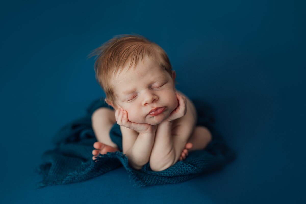 baby on blue during newborn session in land o lakes, florida