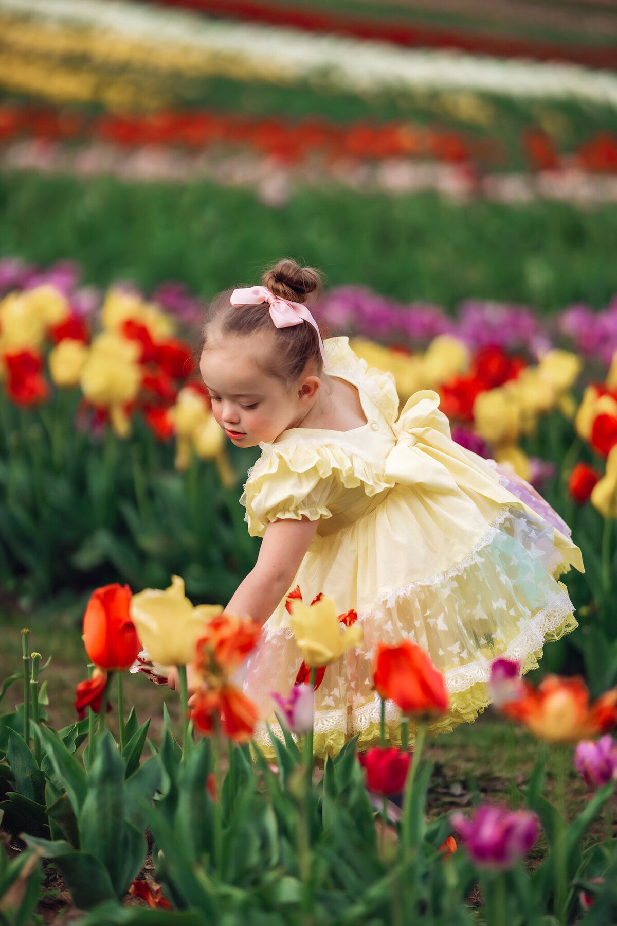 Raleigh-family-photographer-1572
