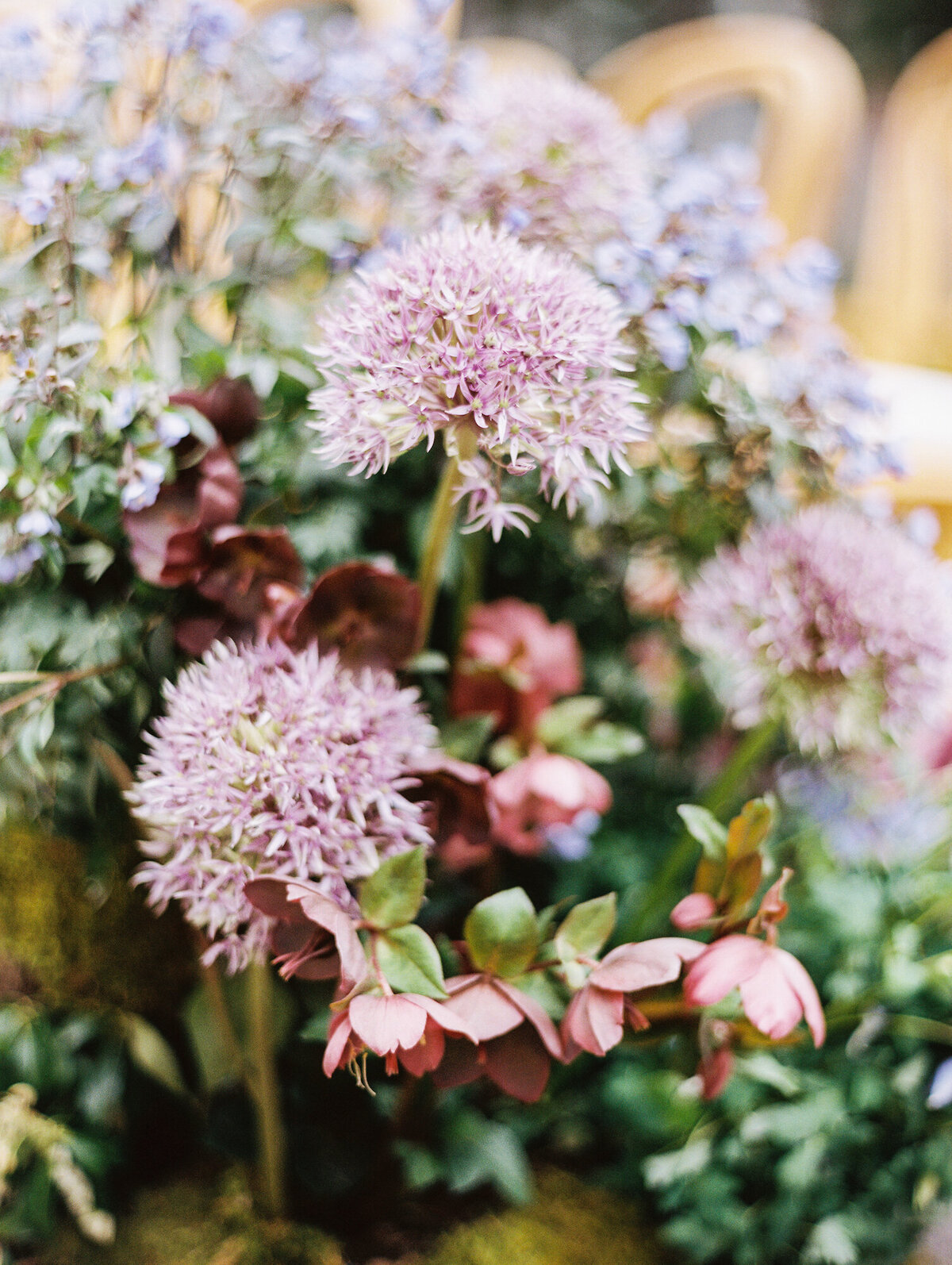 leila-brewster-photography-230
