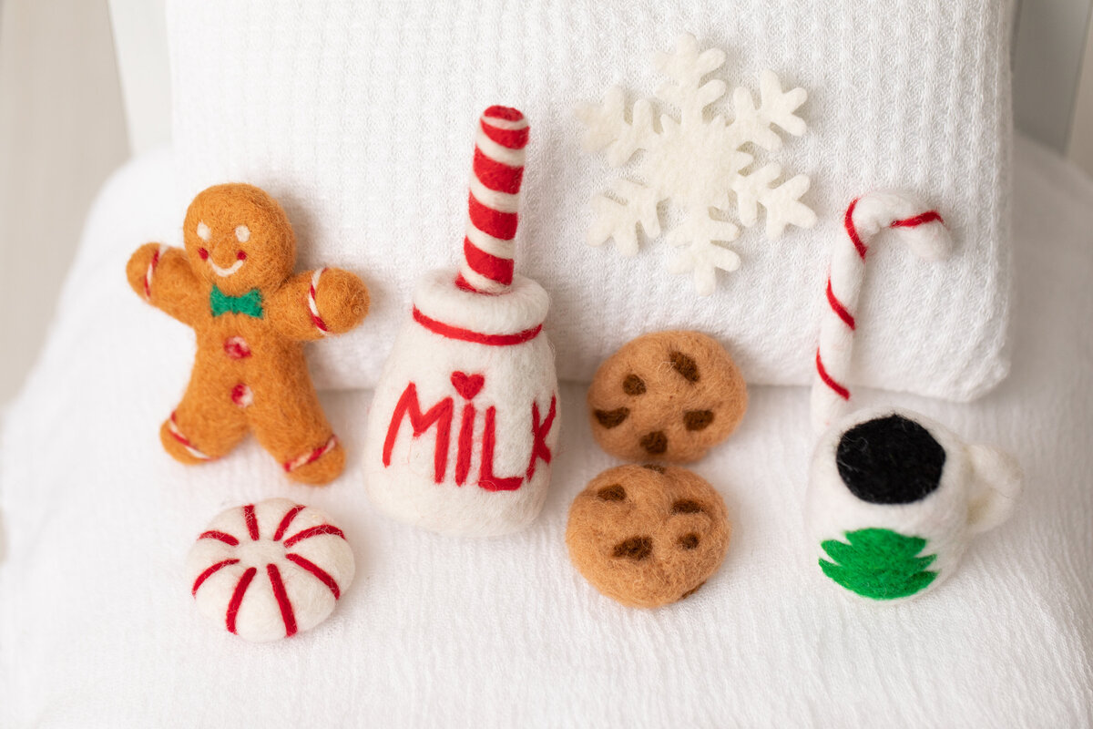 Christmas newborn-1
