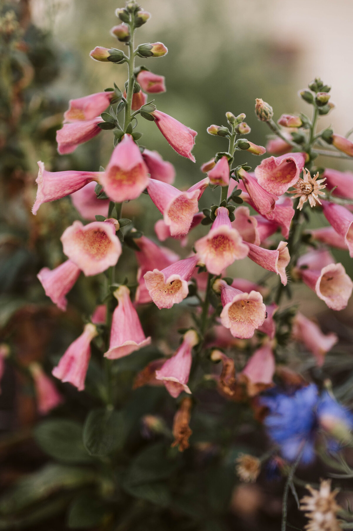 garden2023-90