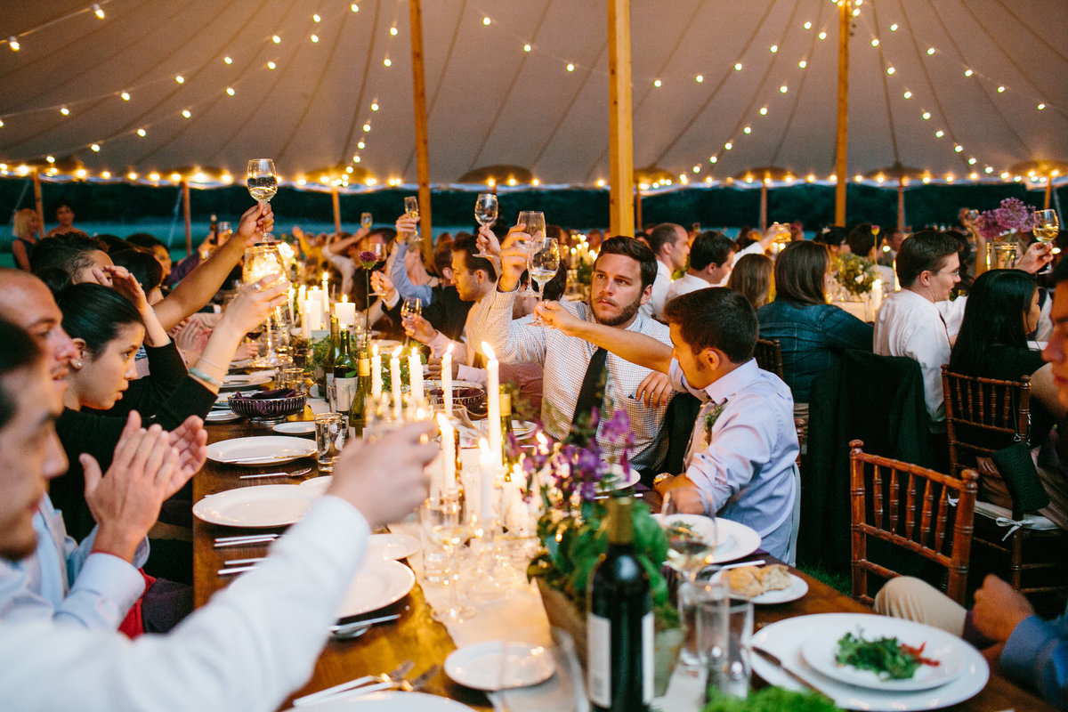 Guests toast at reception