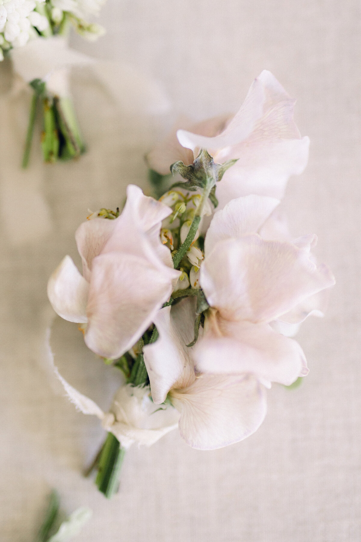 Fleurish_TheSassersWeddingPhotography_0010-Copy2-Copy 2