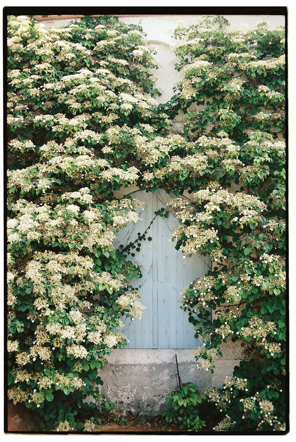 France wedding photographer