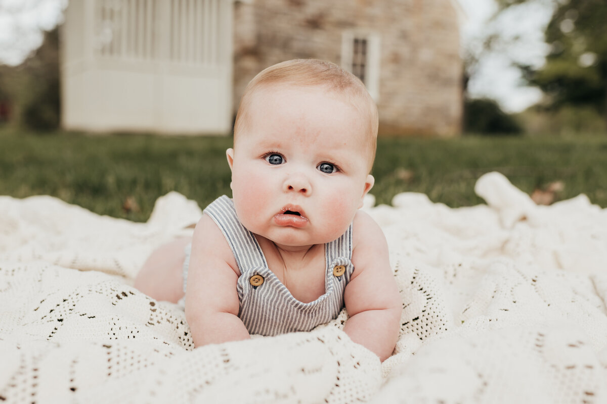 Family Spring mini photo session in Louisville, KY with Sarah Hill Photography. 