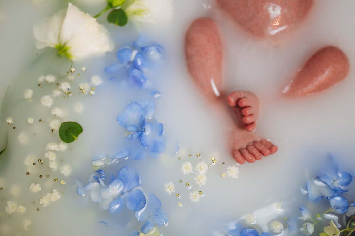 newborn-toes-in-milk-bath