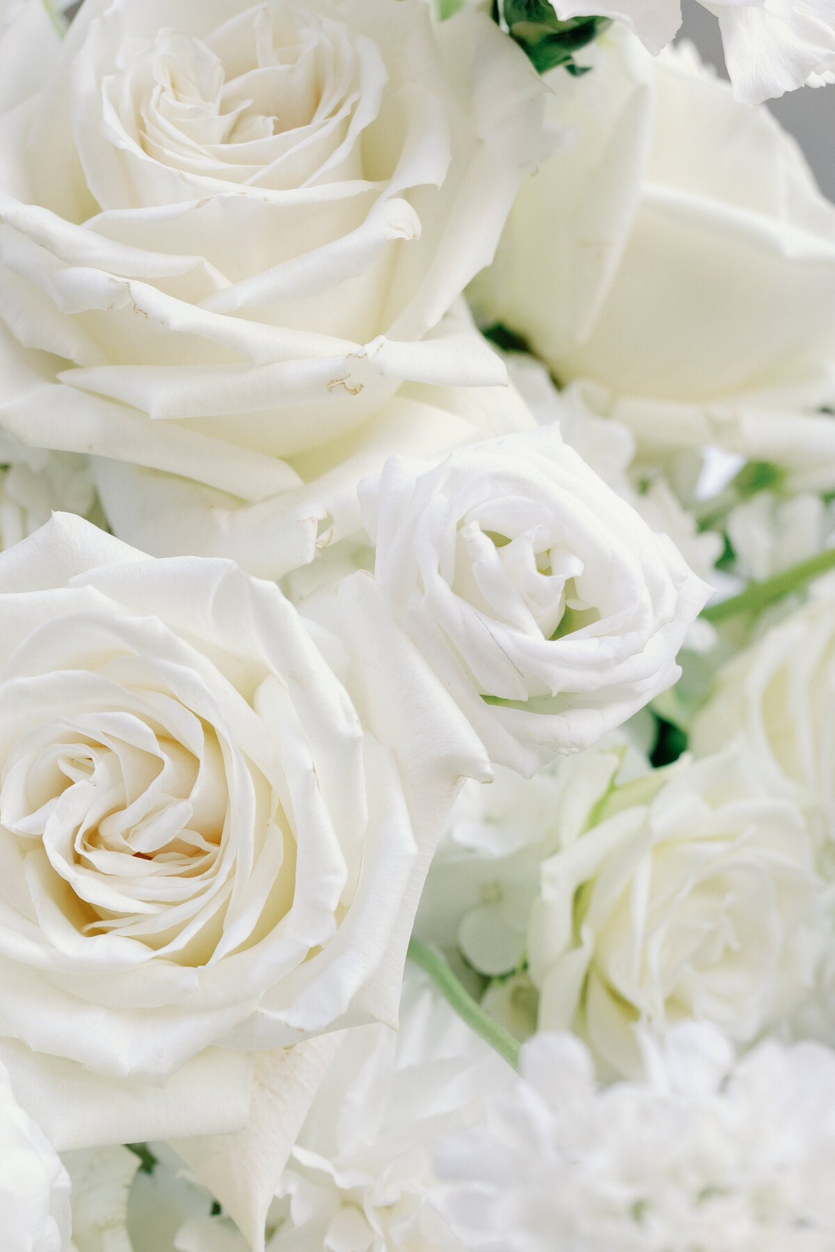 Timeless Raleigh Wedding Venue -13