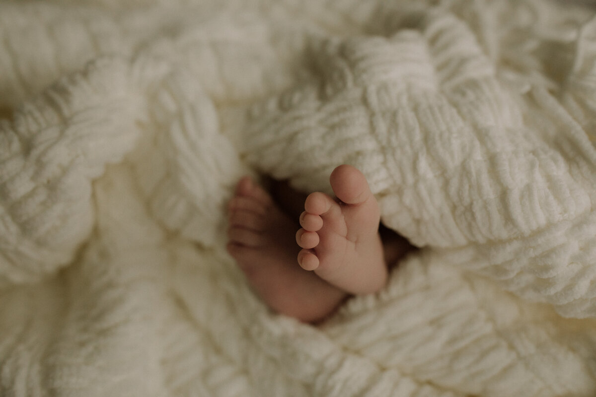 jaimie-scott-lennon-newborn-family-photography-dundas-ancaster-fall-autumn-10