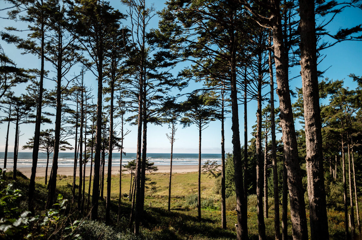Seabrook, Washington State 