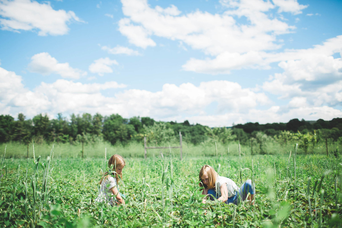 Amy Donohue Photography-3013