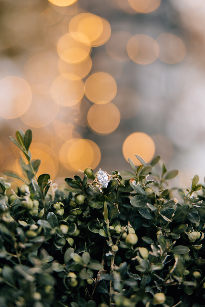 janellesphoto-84