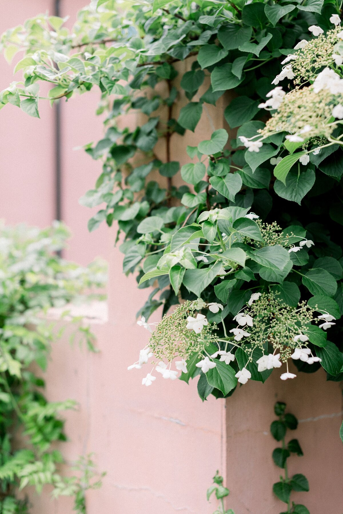 nicole-detone-photography-welcome-party_0003