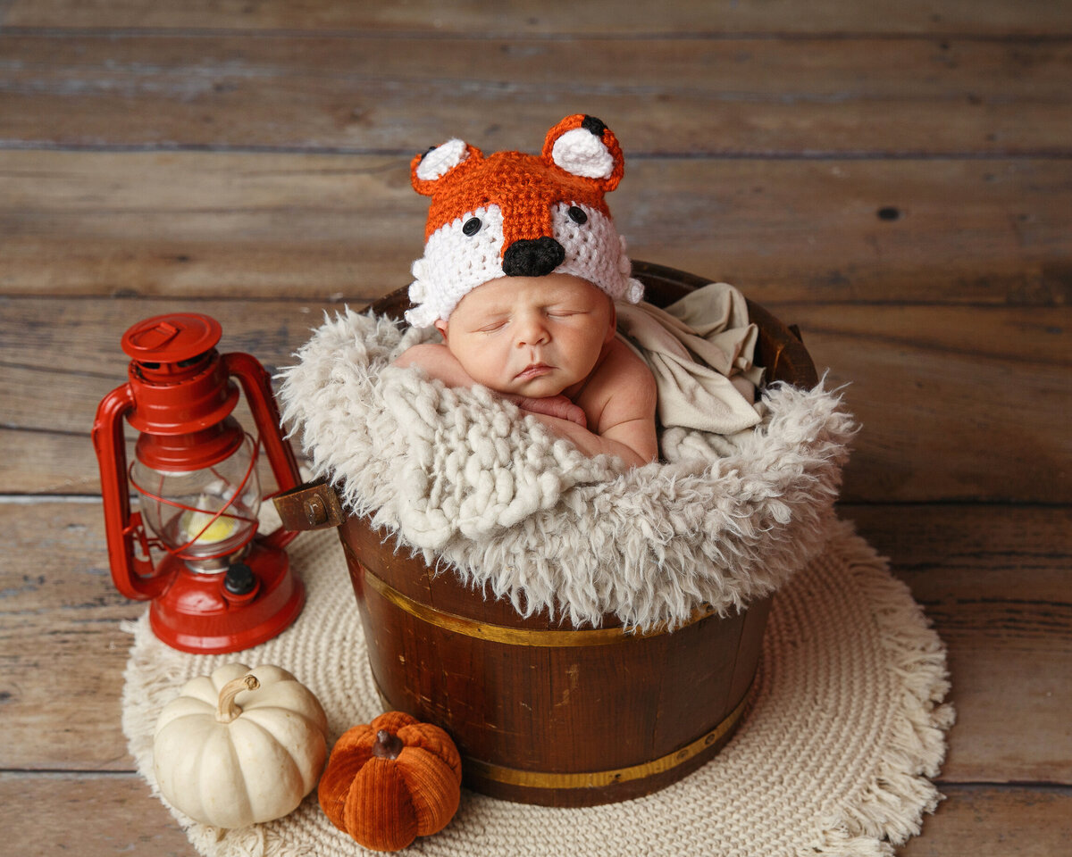 Portrait of a newborn baby sleeping in a bucket and wearing a lttle fox cap