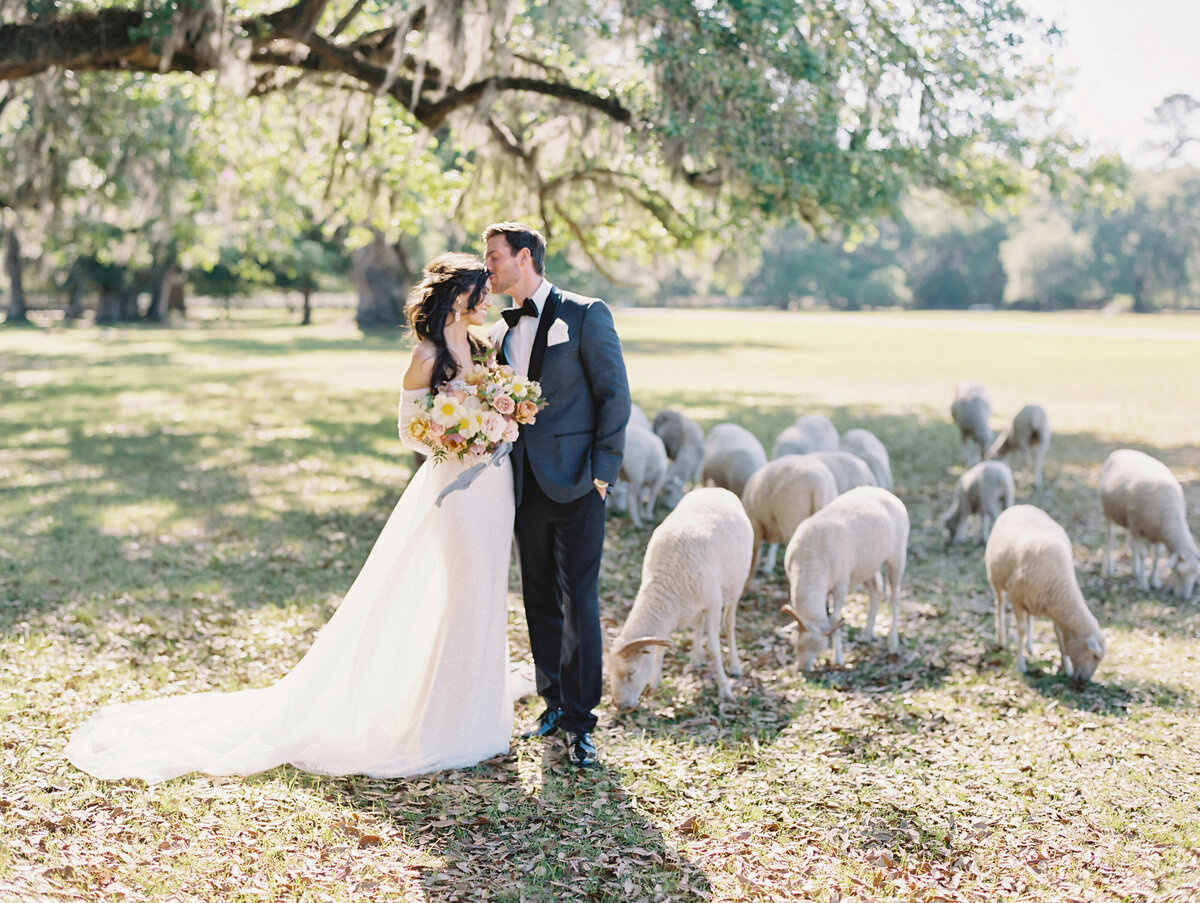 Groom kissing bride next to sheep photographed by Chicago editorial wedding photographer Arielle Peters