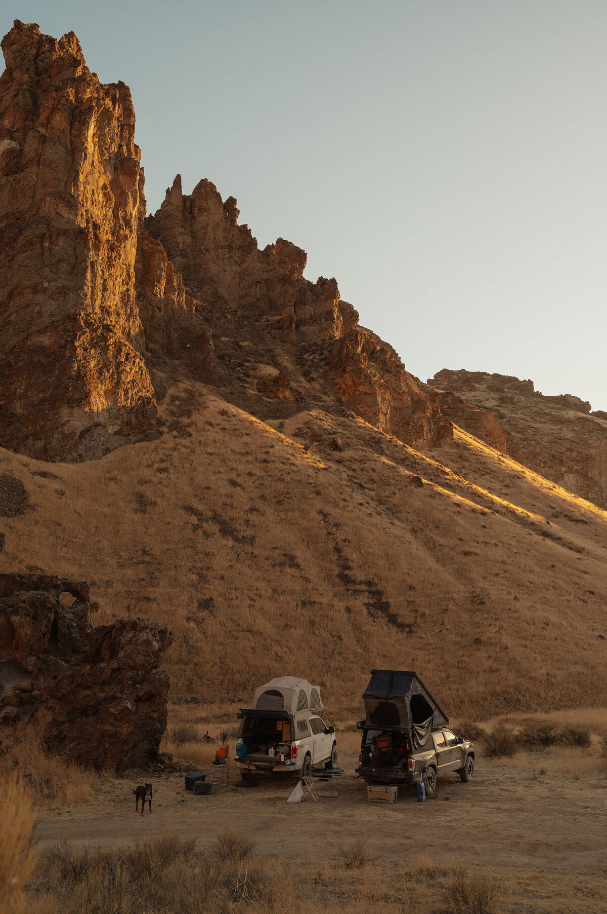trucks with pop up campers are parked in the Moab, Utah desert while dogs run around in the golden sun