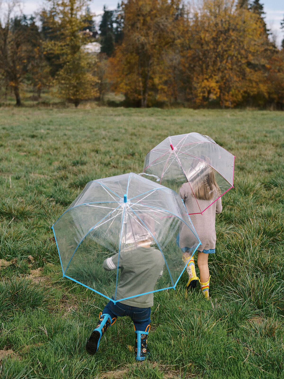 Two kids walk away from the camera holding umbrellas.