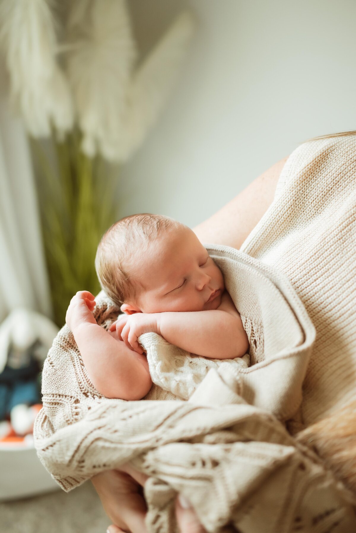 akron photographer (4)