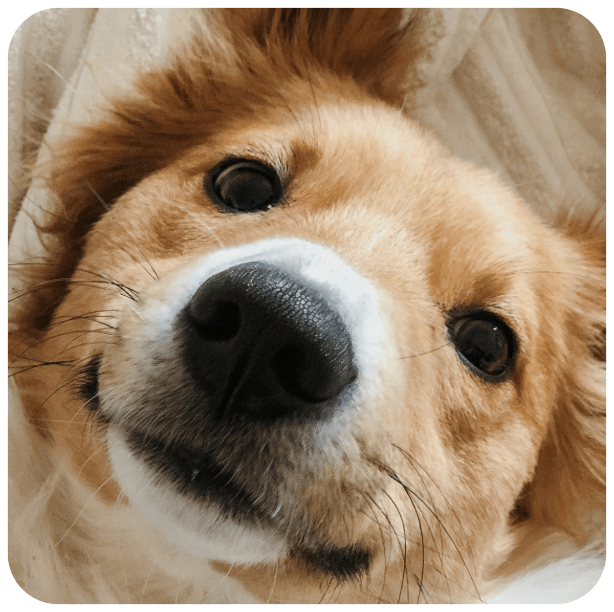 attaboys-and-attagirls-13